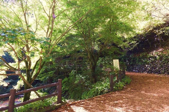 都民の森