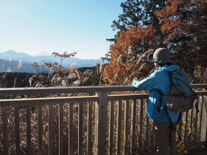 小仏峠から高尾山コースはきれいでおいしいものがたくさん!