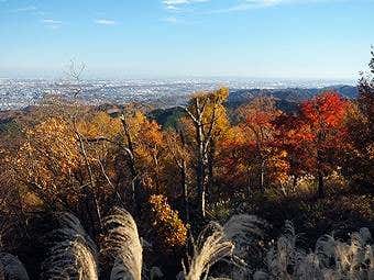 小仏峠だけではなく高尾山山頂からも見られる都心