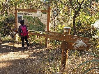 小仏峠の城山から高尾山へ