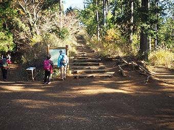 小仏峠の城山から高尾山へ行く途中分岐点3つ