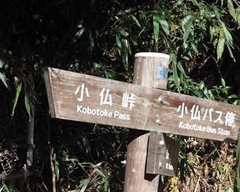 小仏峠へ指標どおり向かう