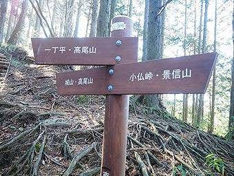 小仏峠から小仏城山へ向かう