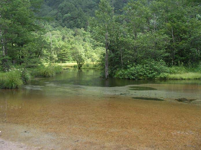 山の日に訪れたい田代池