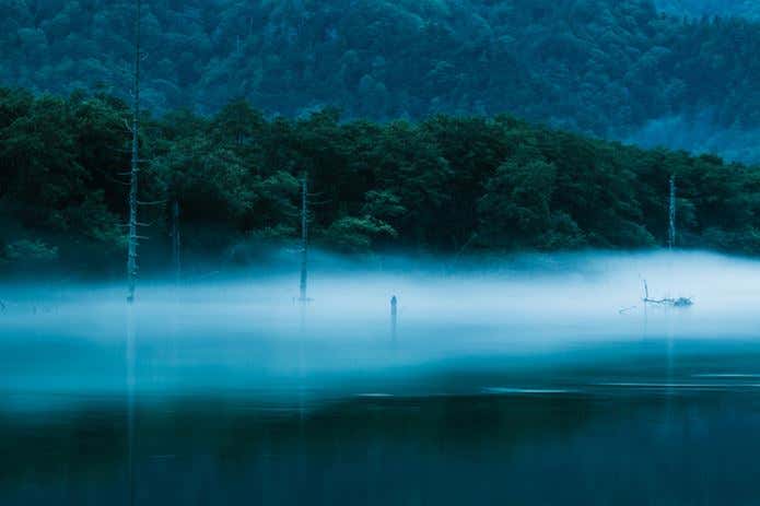 山の日は早朝の大正池へ