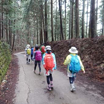 吉野山登山コース⑧下山