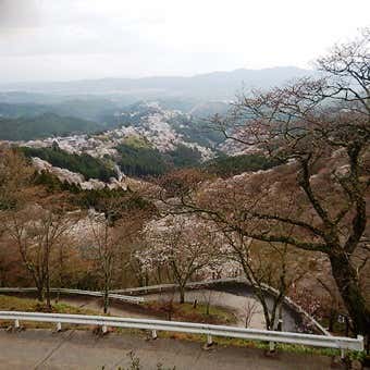 吉野山登山コース紹介⑥展望