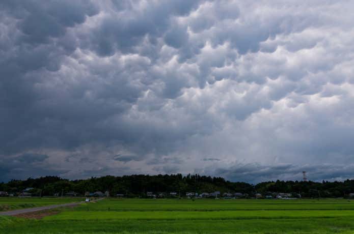 乱層雲の観天望気