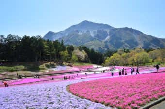 武甲山にいこう！