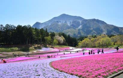 武甲山にいこう！