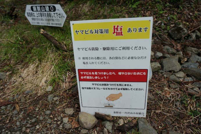 ヤマビル