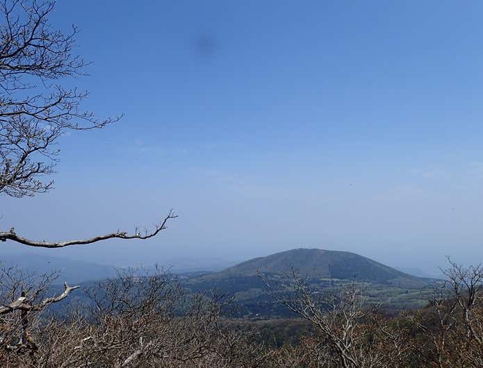 天城山から見た景色