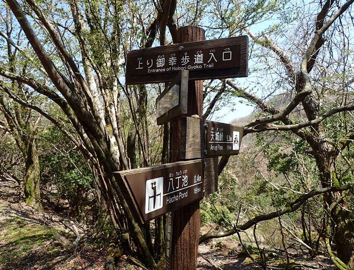 天城山の表札