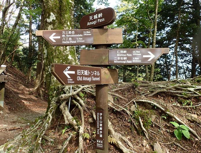 天城山の天城峠