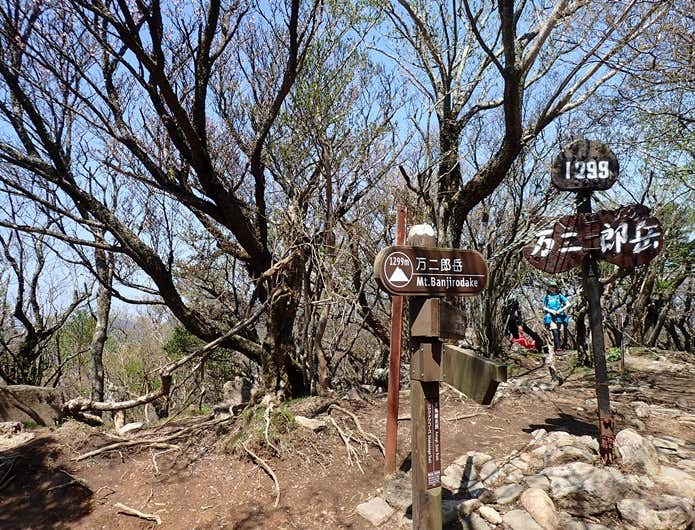天城山の分岐点