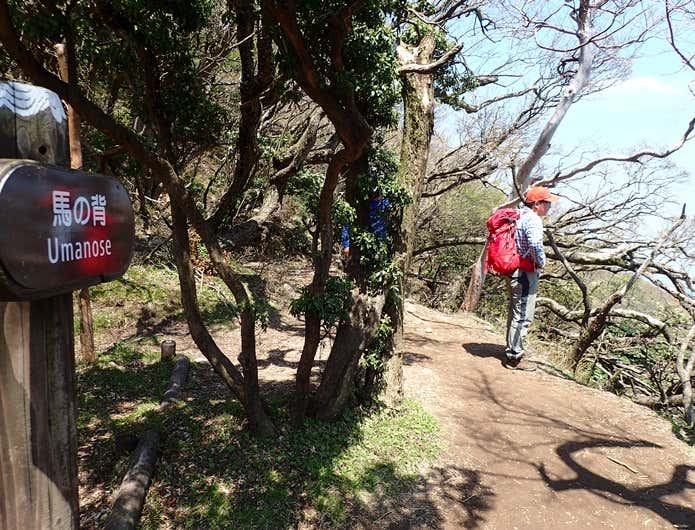 天城山に登る人