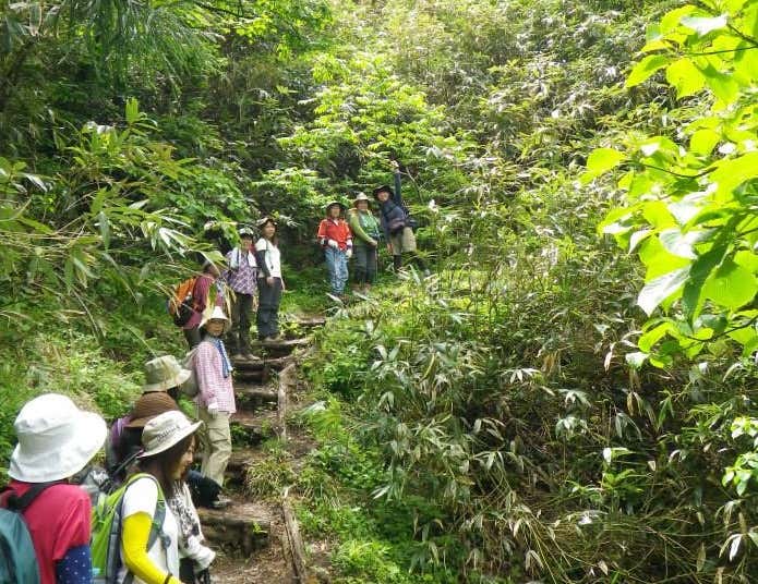 森林浴ができる氷ノ山