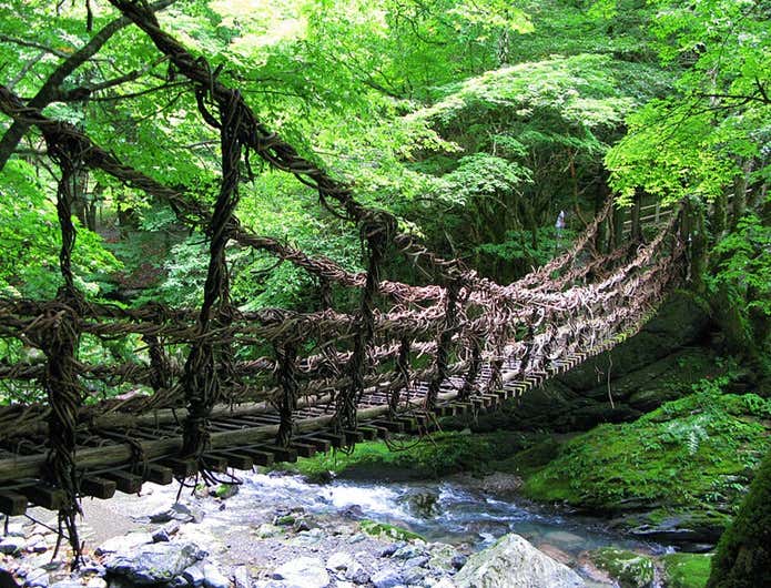 森林浴ができる橋がある森