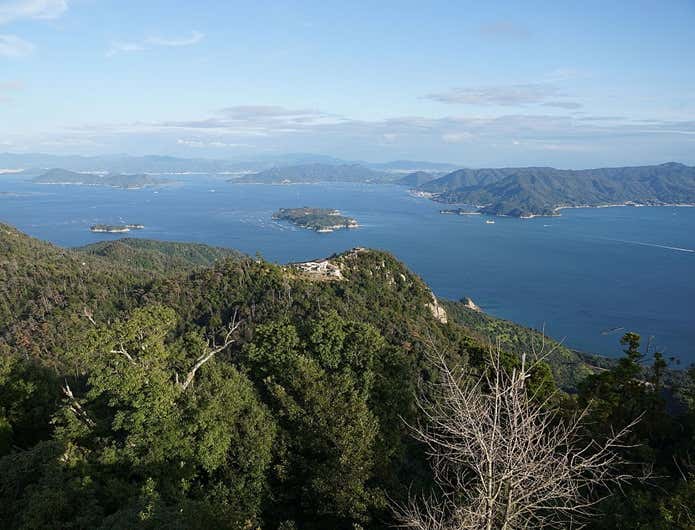 森林浴ができる弥山