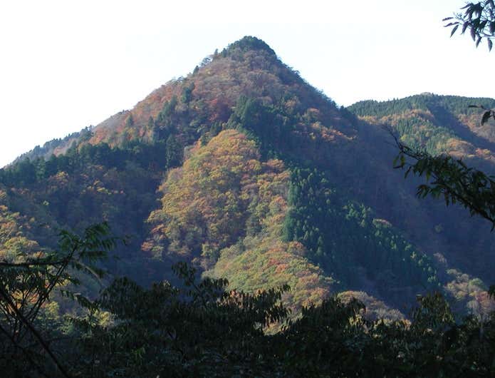 森林浴ができる御岳山