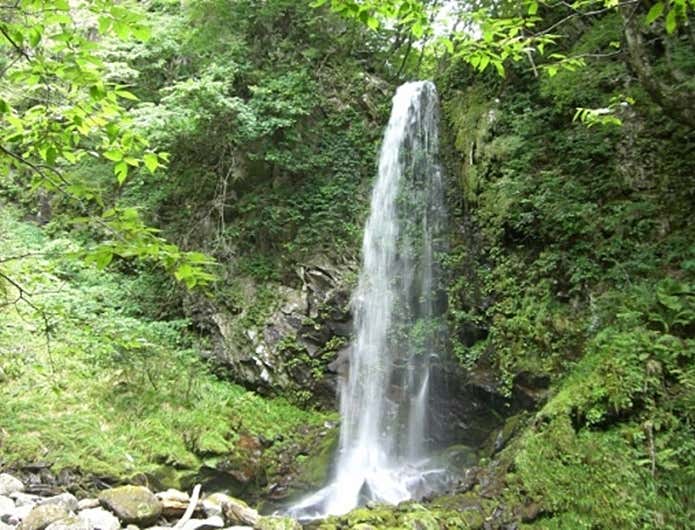 森林浴ができる高瀬峡の渓谷