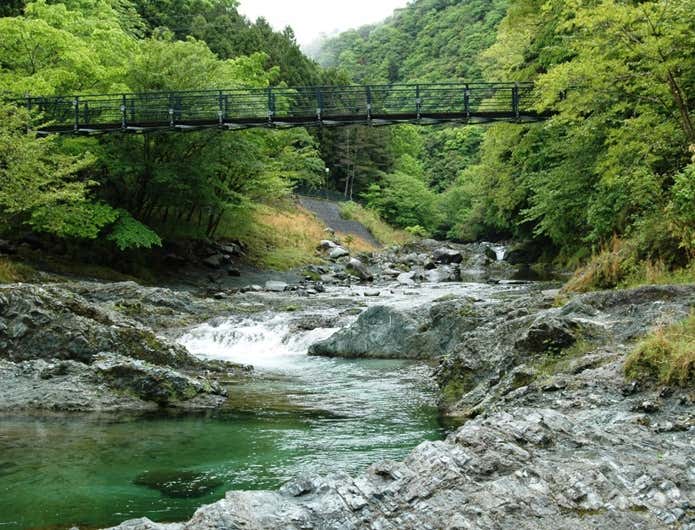 森林浴ができる丹沢