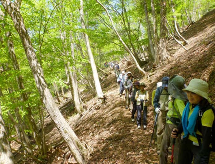 森林浴ができる山村都市交流の森