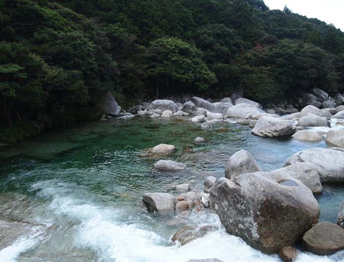 森林浴ができる横河渓谷