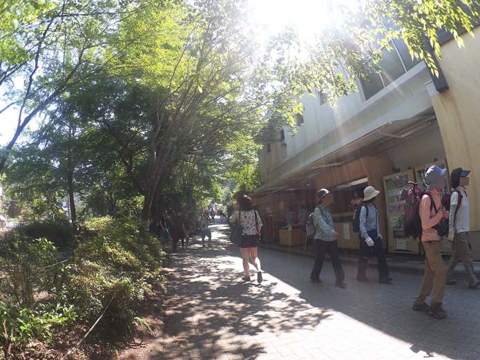 高尾山口の駅出て右側