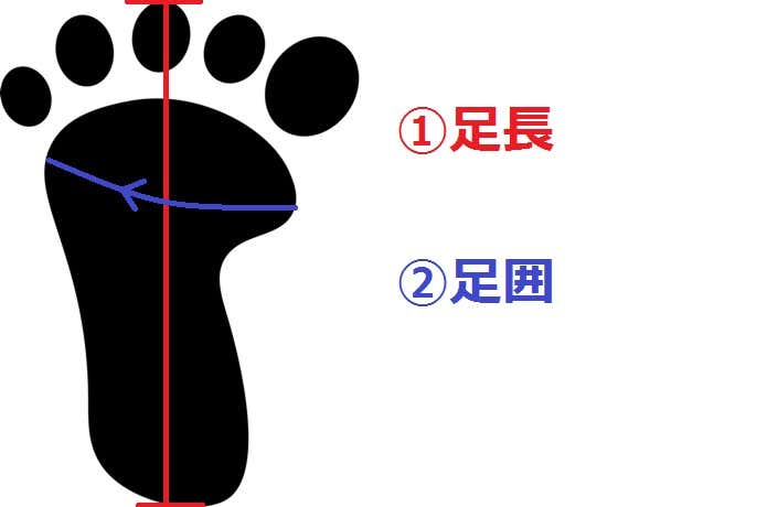 足長・足囲の図