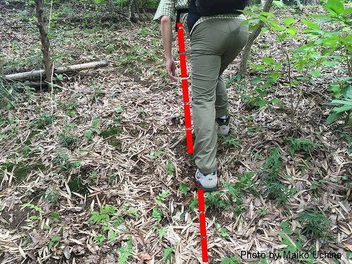登山　歩き方　直登　疲れる