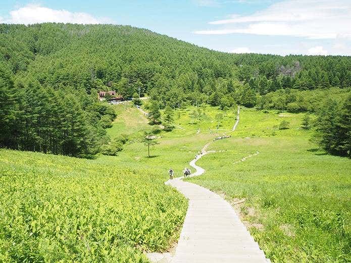 入笠山 入笠湿原