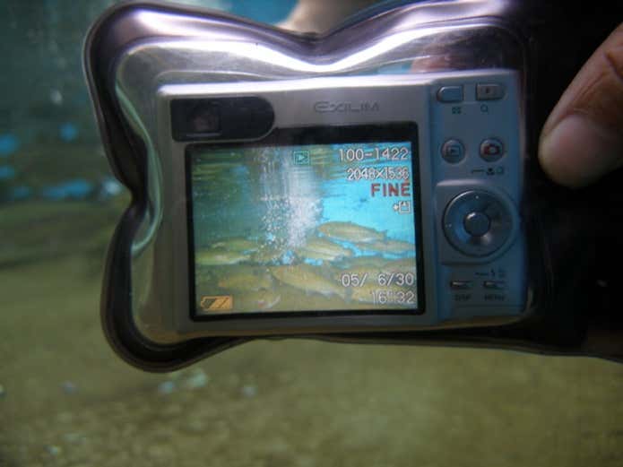 防水ケースに入ったデジタルカメラ