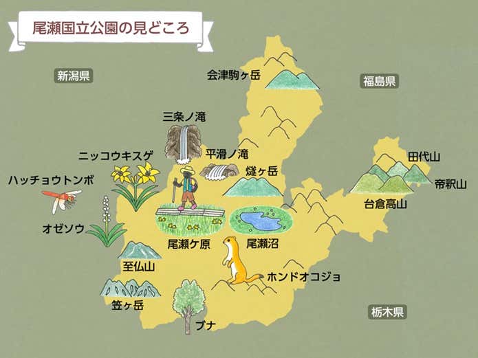 尾瀬おすすめマップ