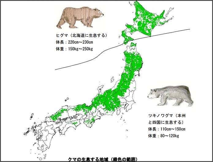 クマの生息地域