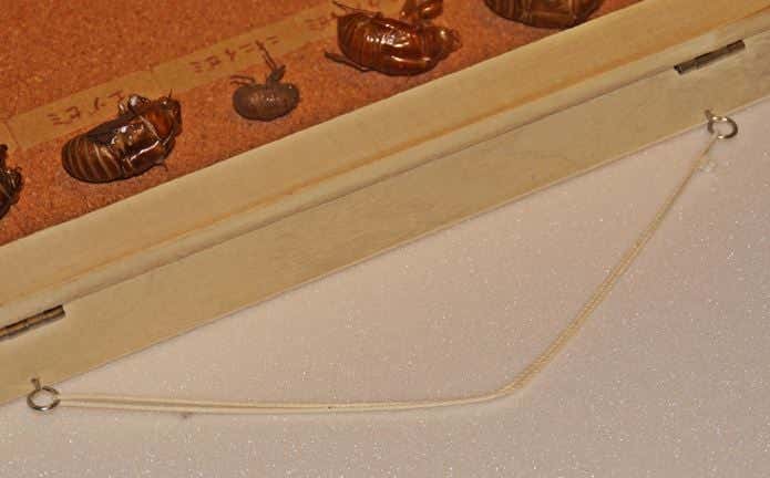 ①金具取り付け部