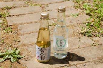 ノンアルコールの日本酒