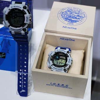 G-SHOCKの人気シリーズ、フロッグマンの歴史を徹底解説！ | YAMA