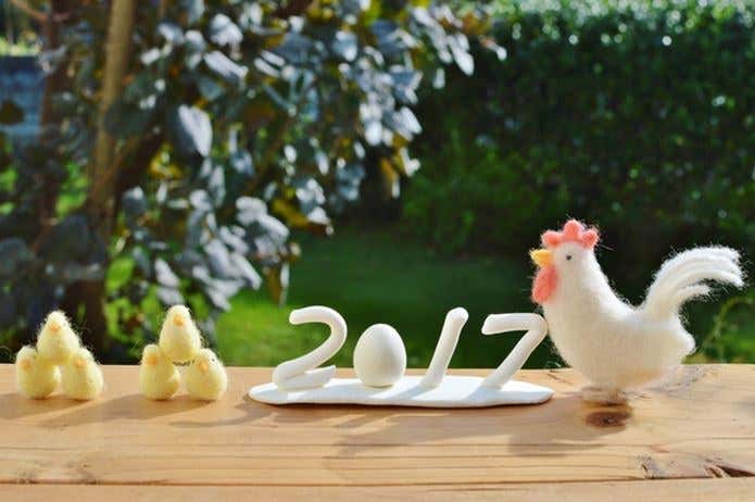 2017年　ニワトリ