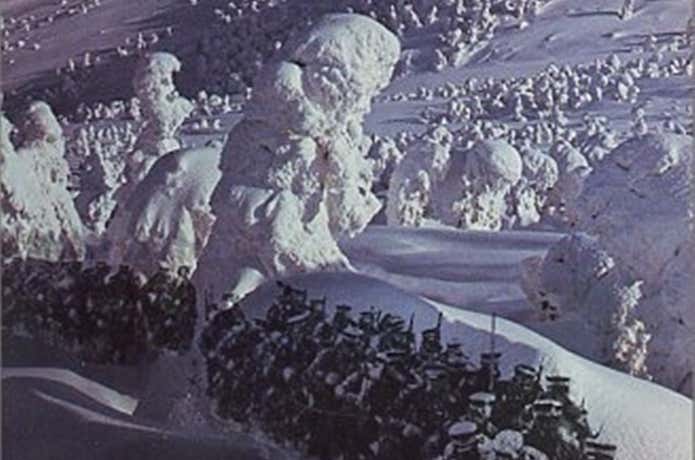 冬の八甲田山を行軍する