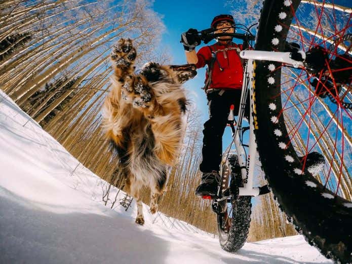 ゴープロアクセサリーをつけて犬と走る男性