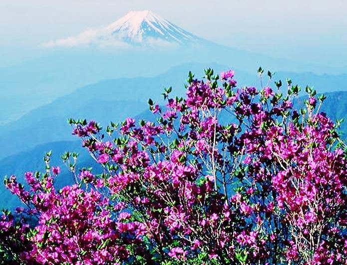 雁ヶ腹摺山