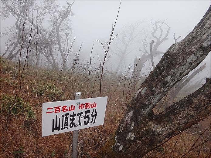 山の看板
