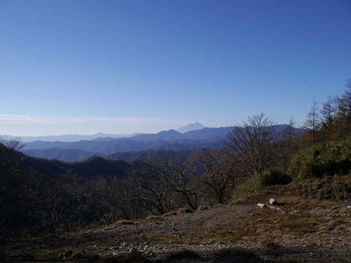 雲取山登山道