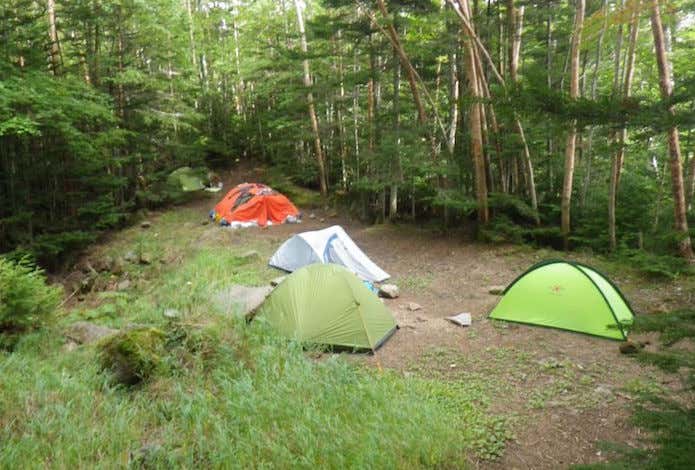 しらびそ小屋のテント場