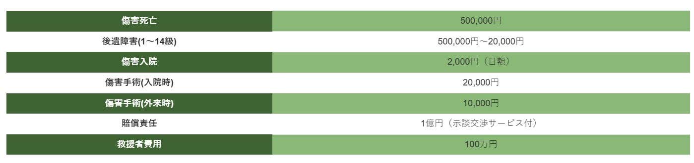 やまふきワンタイム保険の詳細