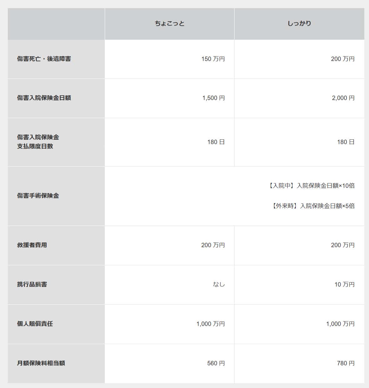 スポーツ・レジャー保険の詳細