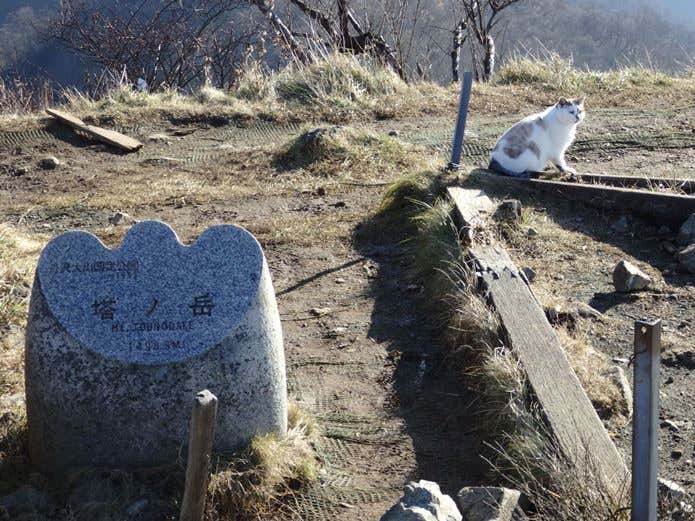 塔ノ岳の標識と塔くん