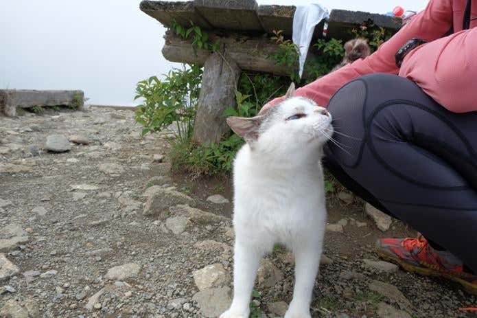 すり寄ってきた塔くん