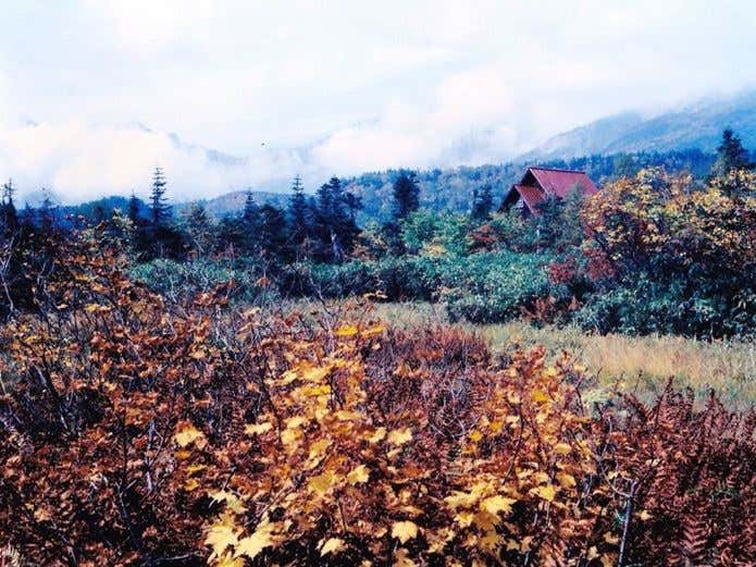 1971年の白馬三山登山時、栂池ヒュッテと思われる小屋